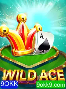 Explorando o Fascinante Mundo de WildAce e Sua Dinâmica de Jogo: Uma Introdução ao Novo Fenômeno